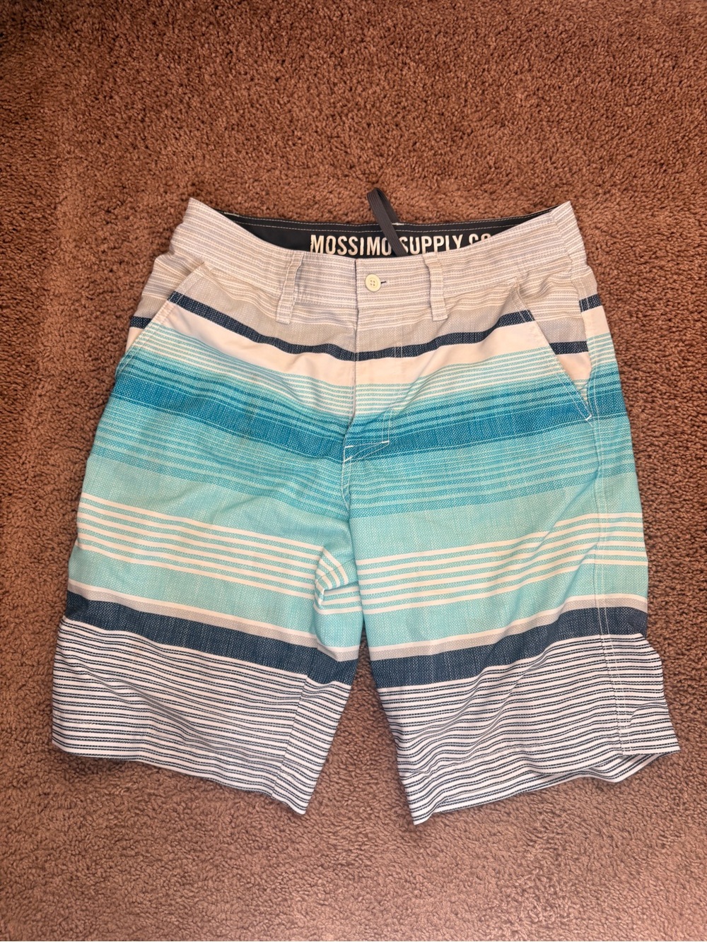 Mossimo Supply Co. Teal & Navy Striped Men’s Swim Board Shorts
